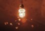 Become a spiritual bug zapper