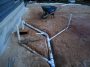 Plumb the Depths…